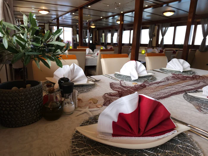 Dalmatia P (105)