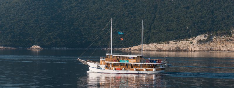 DFG_3964