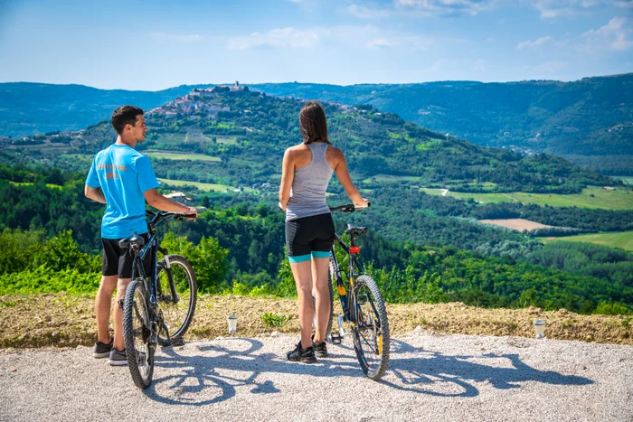 Istria image
