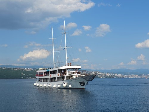 Antonela image