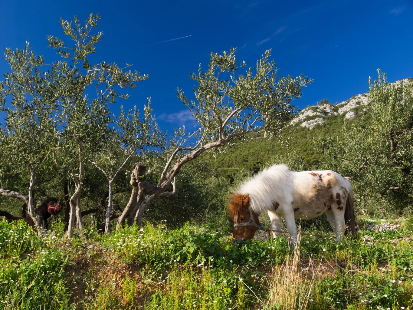 Itinerary day 3 image