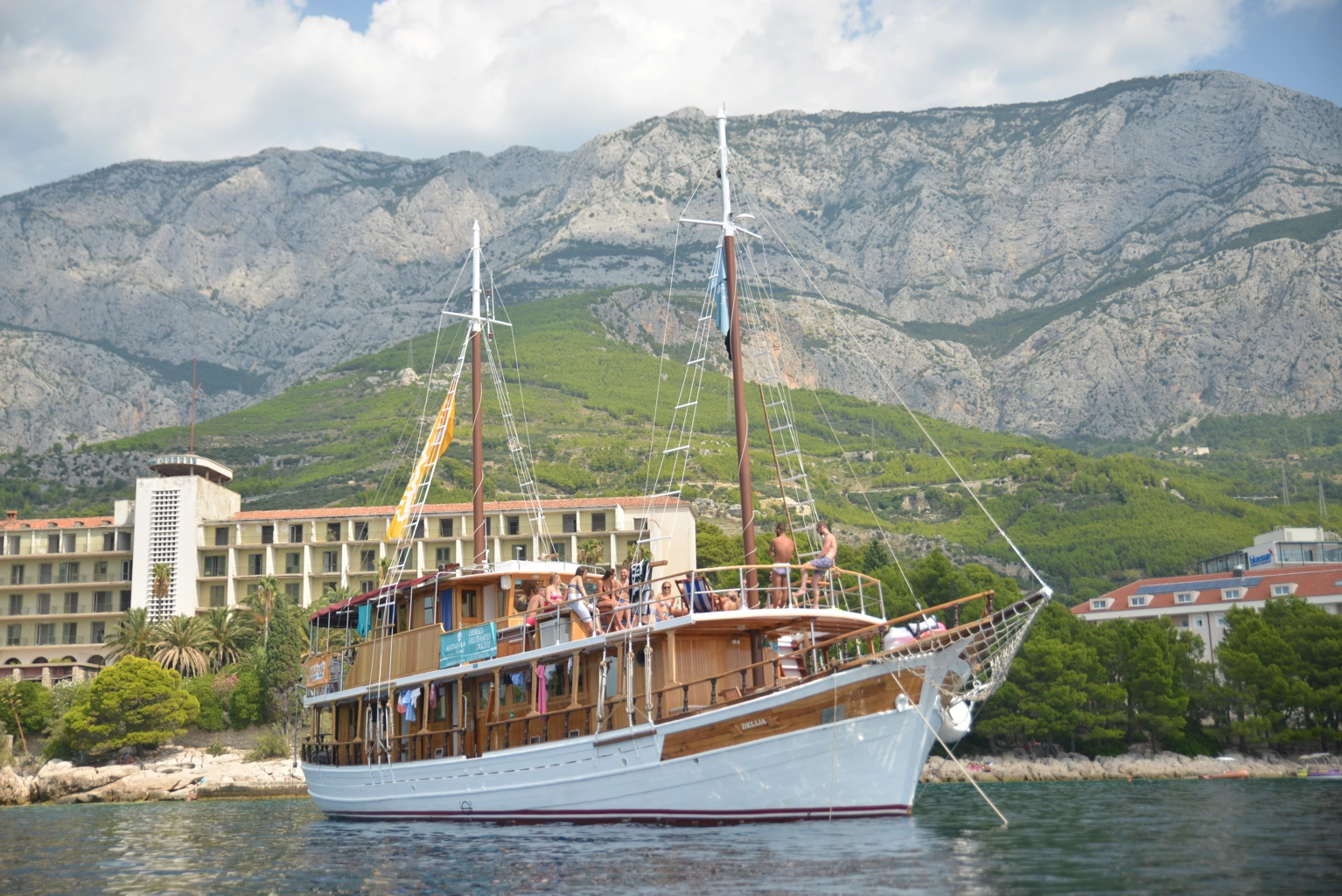 Delija (T) (26) image