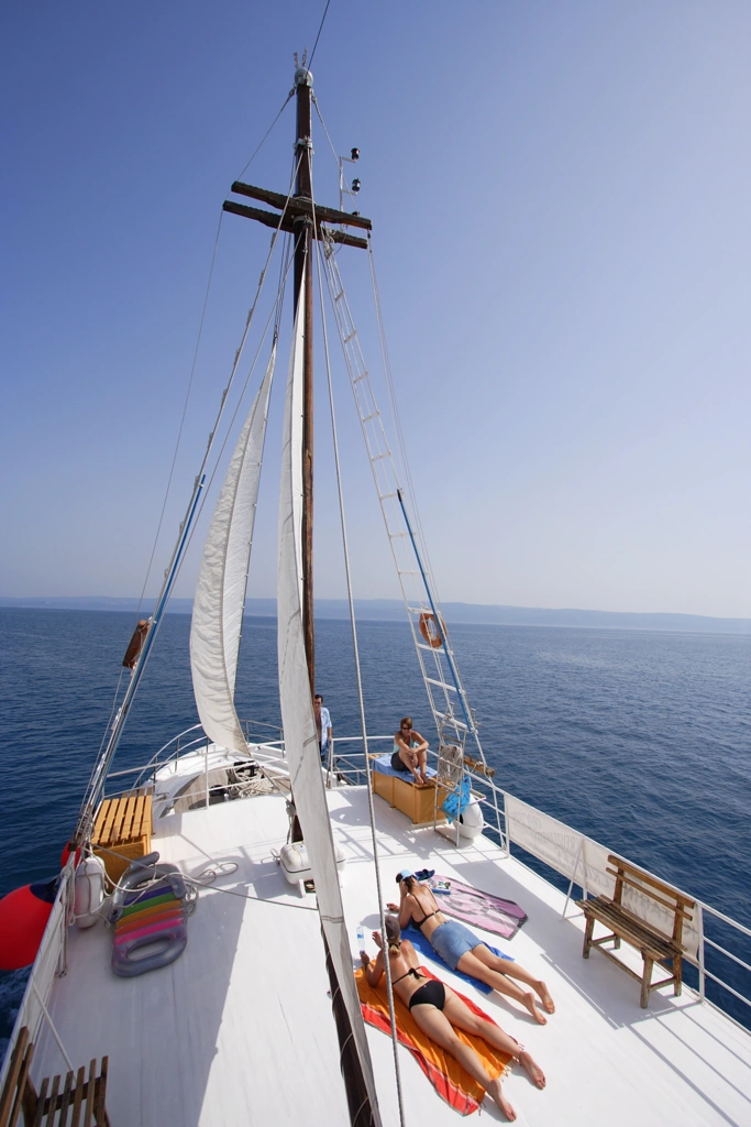 Madona (T) (12) image